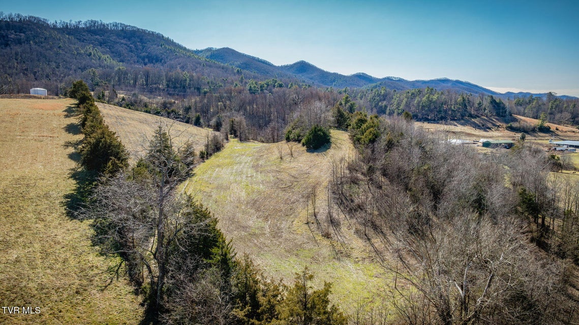 Photo #46: Tbd Hipps Road