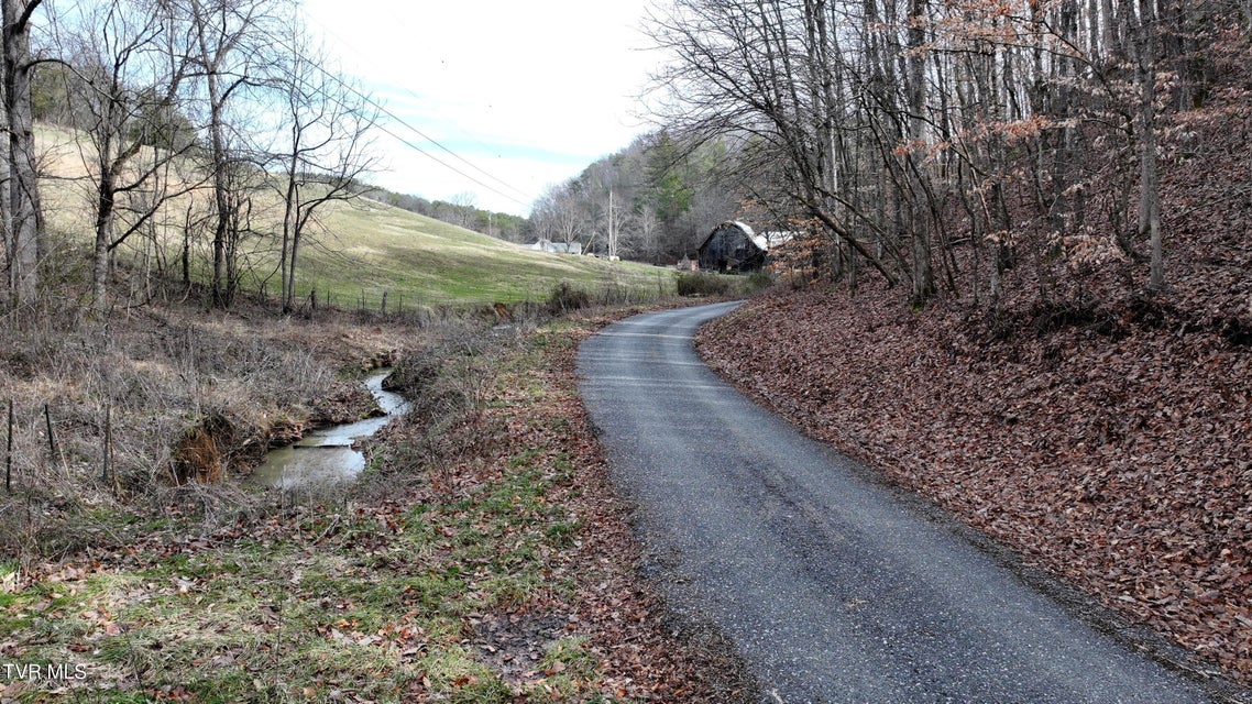 Photo #21: 0000 Looney Rd Off