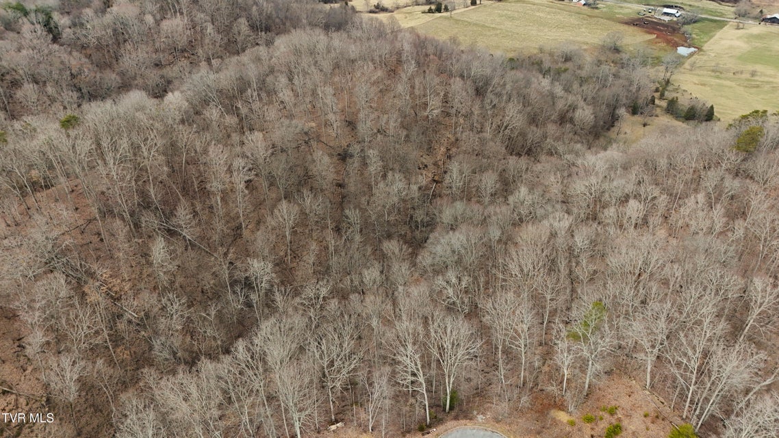Photo #6: 200-201 Fox Ridge Drive