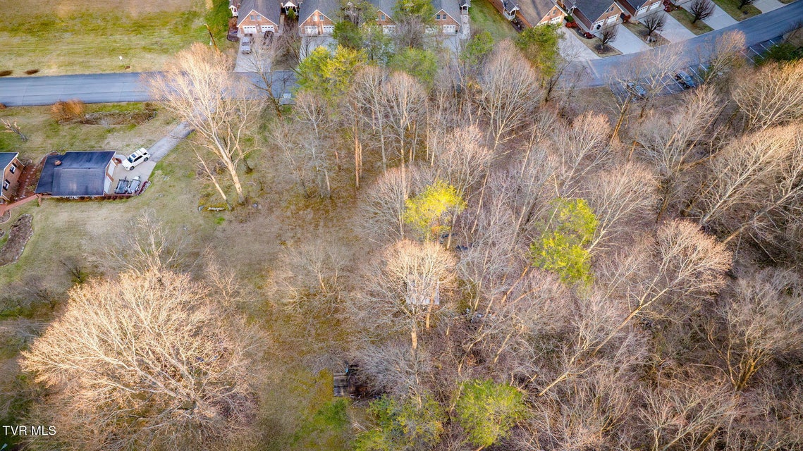 Photo #10: Tbd Alexander Avenue