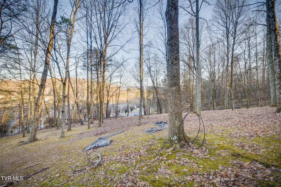 Photo #5: Tbd Alexander Avenue