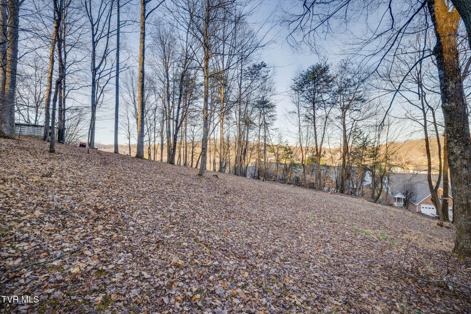 Photo #6: Tbd Alexander Avenue