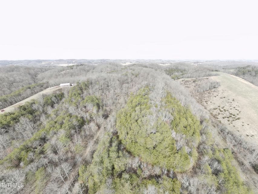 Photo #32: 0000 Looney Rd Off
