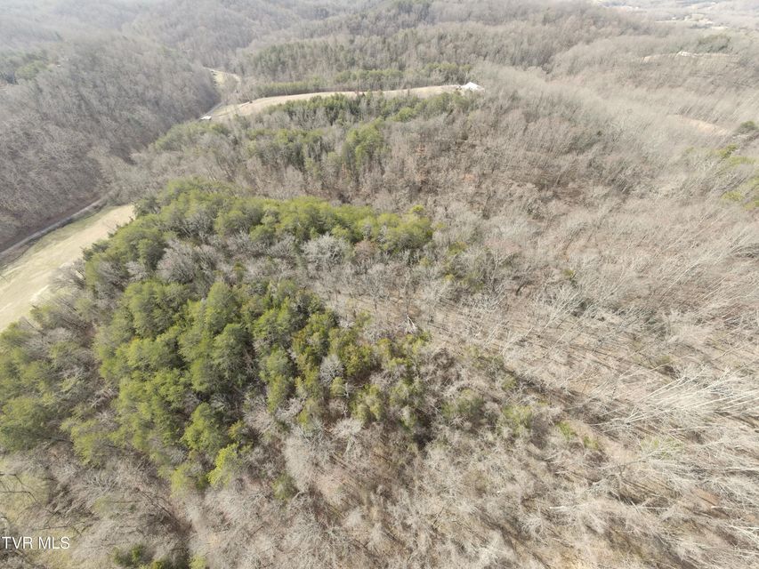 Photo #33: 0000 Looney Rd Off