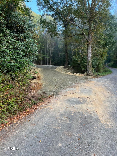 Photo #2: 104ac Tbd Fire Tower Road