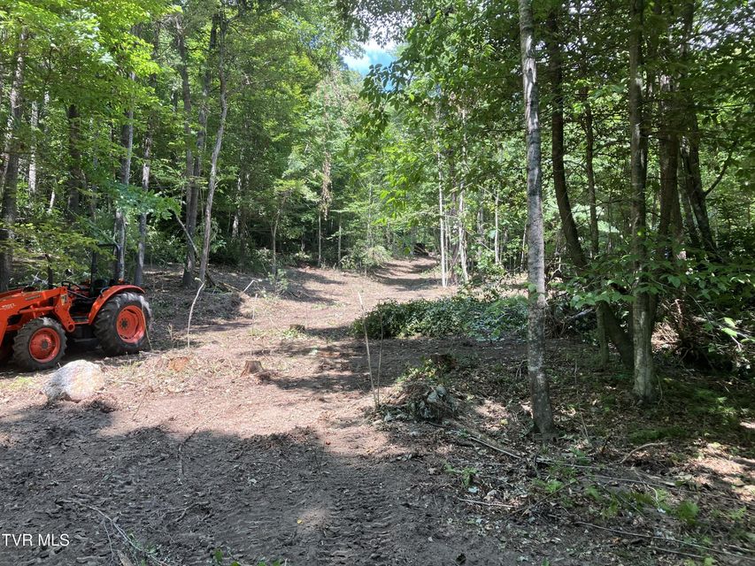 Photo #9: 104ac Tbd Fire Tower Road