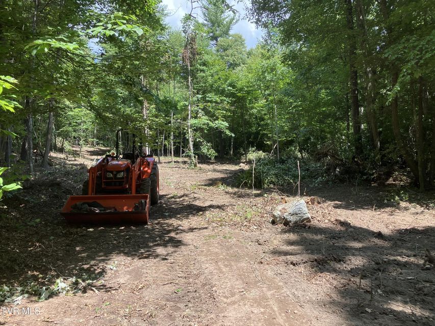 Photo #10: 104ac Tbd Fire Tower Road