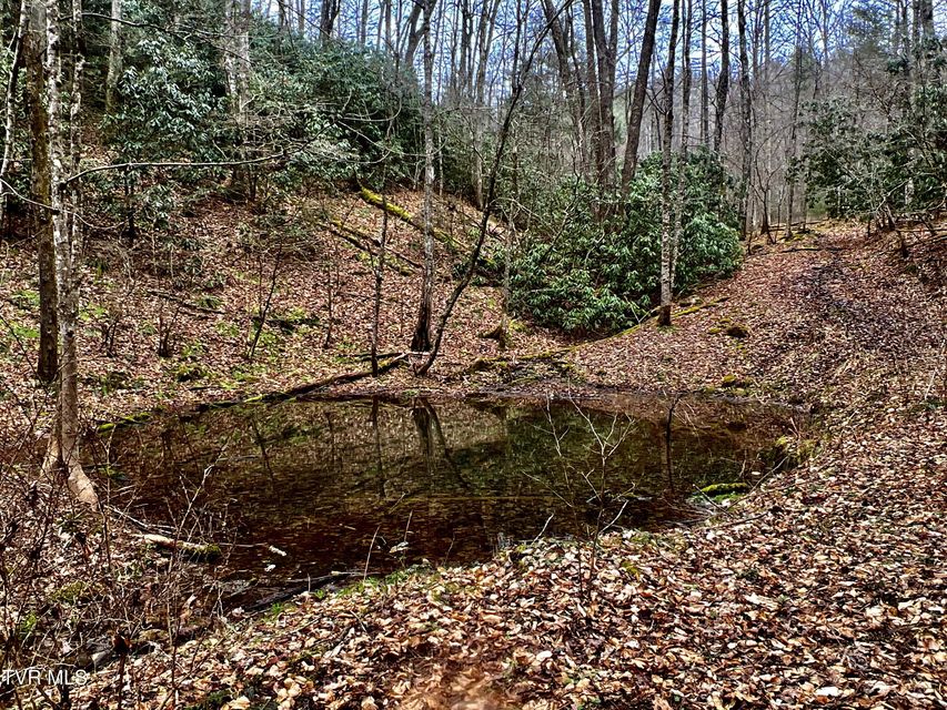 Photo #13: 104ac Tbd Fire Tower Road