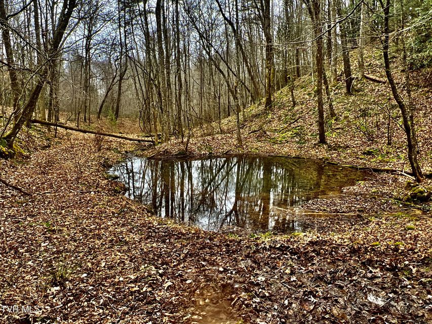 Photo #14: 104ac Tbd Fire Tower Road