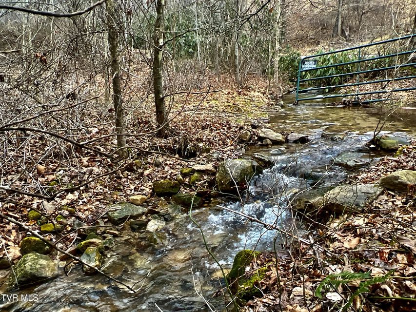 Photo #15: 104ac Tbd Fire Tower Road