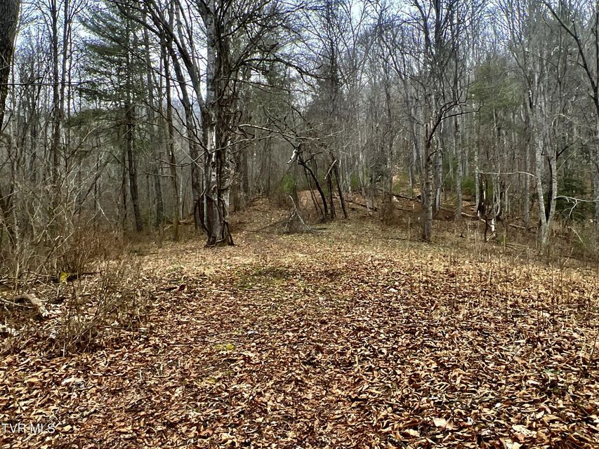 Photo #35: 104ac Tbd Fire Tower Road