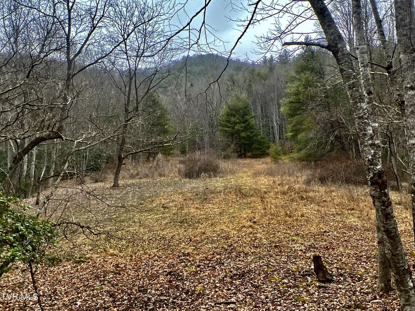 Photo #36: 104ac Tbd Fire Tower Road