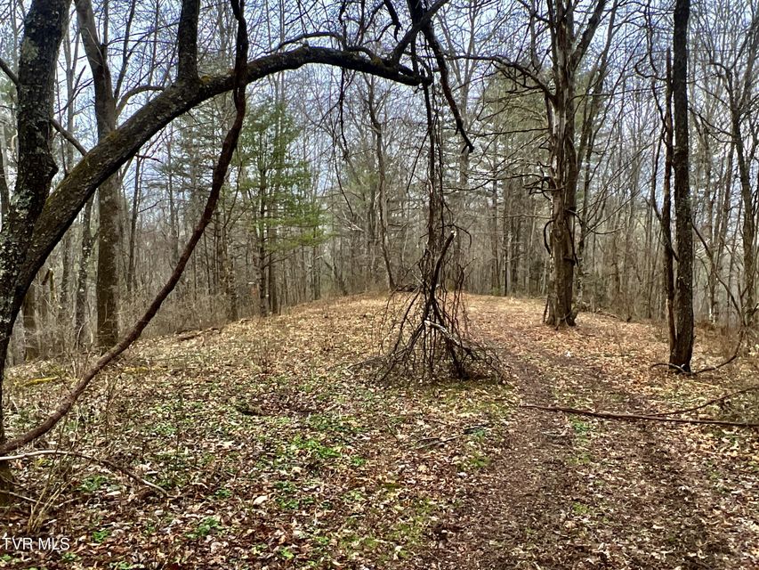 Photo #37: 104ac Tbd Fire Tower Road