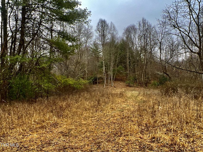 Photo #38: 104ac Tbd Fire Tower Road