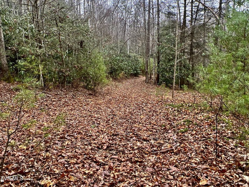 Photo #44: 104ac Tbd Fire Tower Road