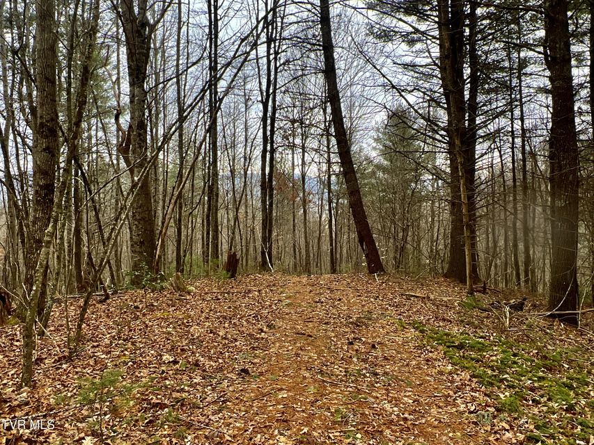 Photo #45: 104ac Tbd Fire Tower Road