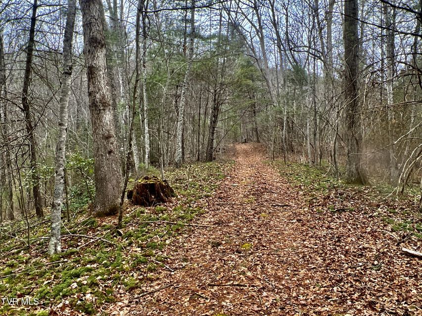 Photo #49: 104ac Tbd Fire Tower Road