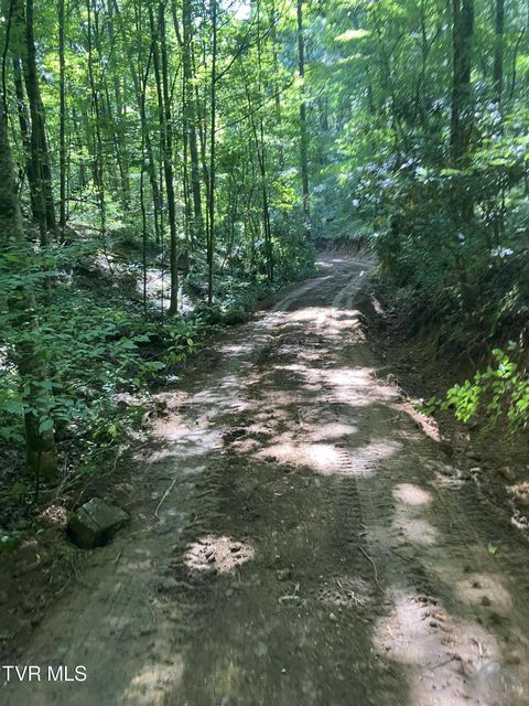 Photo #12: 104ac Tbd Fire Tower Road