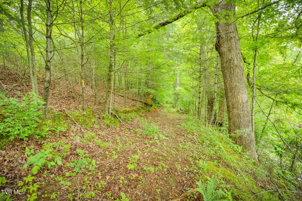 Photo #5: Lot 9 Dugger Bridge Road