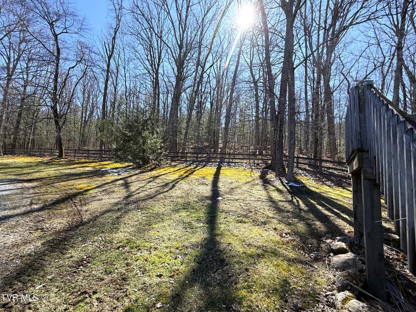 Photo #43: 990 Luna Way