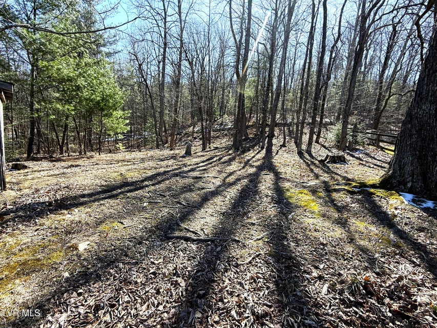 Photo #45: 990 Luna Way