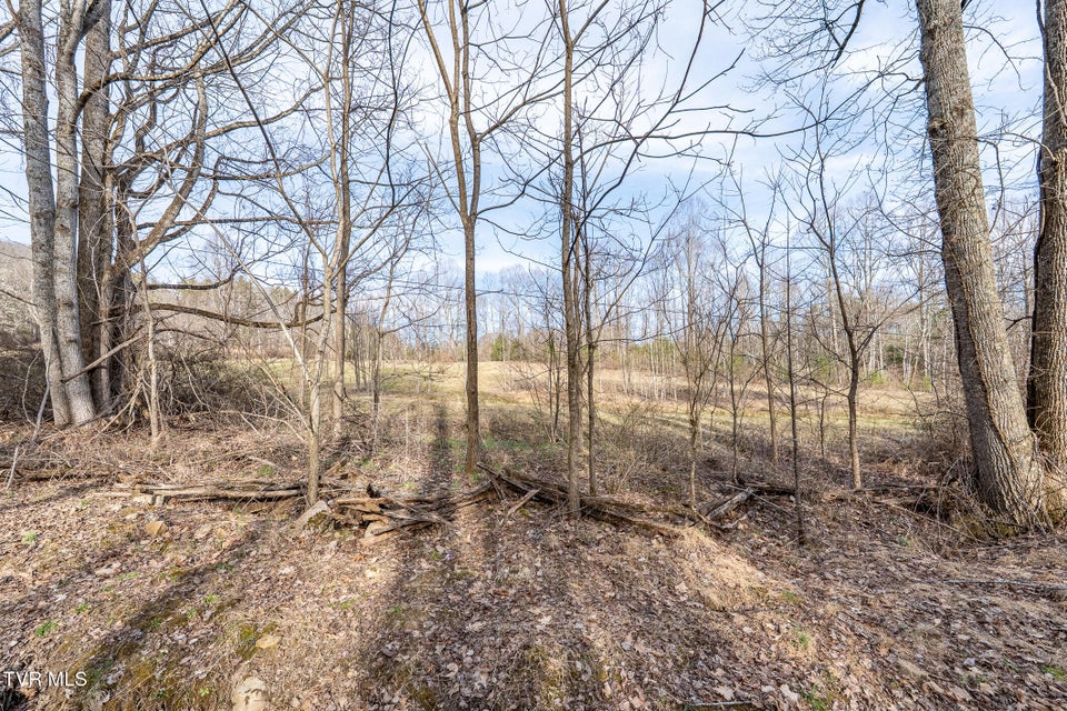 Photo #23: 3085 Slabtown Road