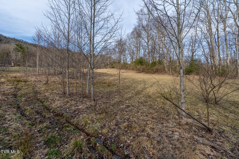 Photo #30: 3085 Slabtown Road