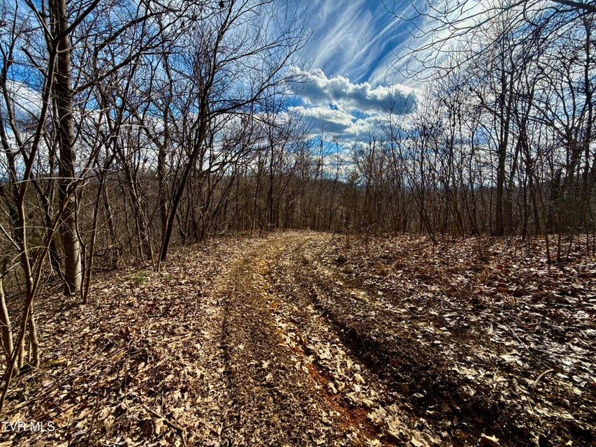 Photo #4: Lot 1 Caney Creek Lane