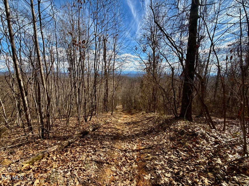 Photo #6: Lot 1 Caney Creek Lane