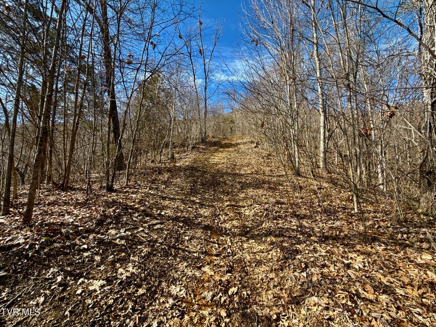 Photo #5: Lot 1 Caney Creek Lane