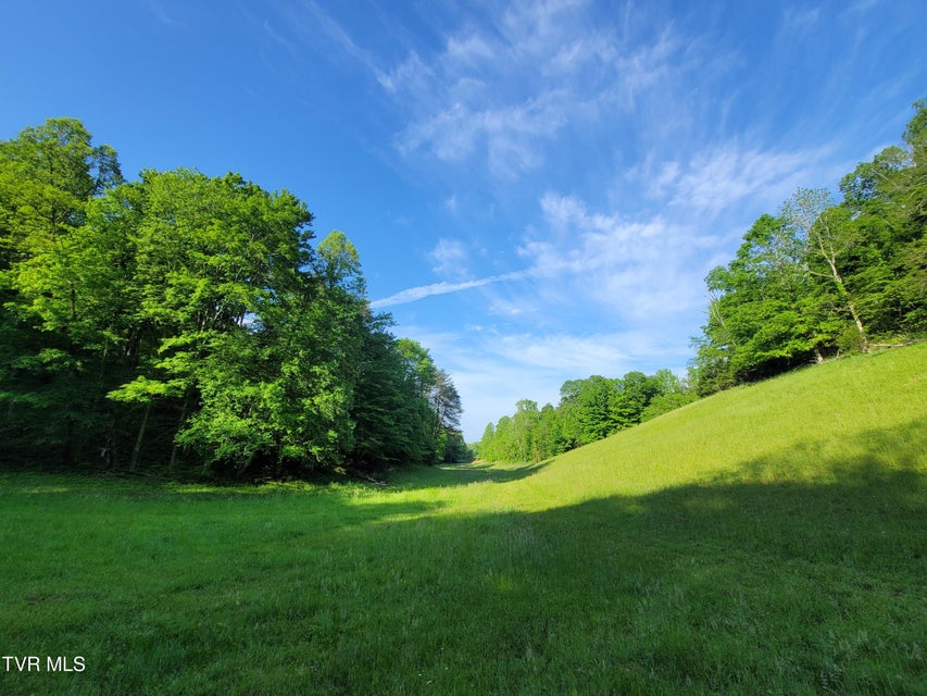 Photo #6: 838 Longs Bend Road