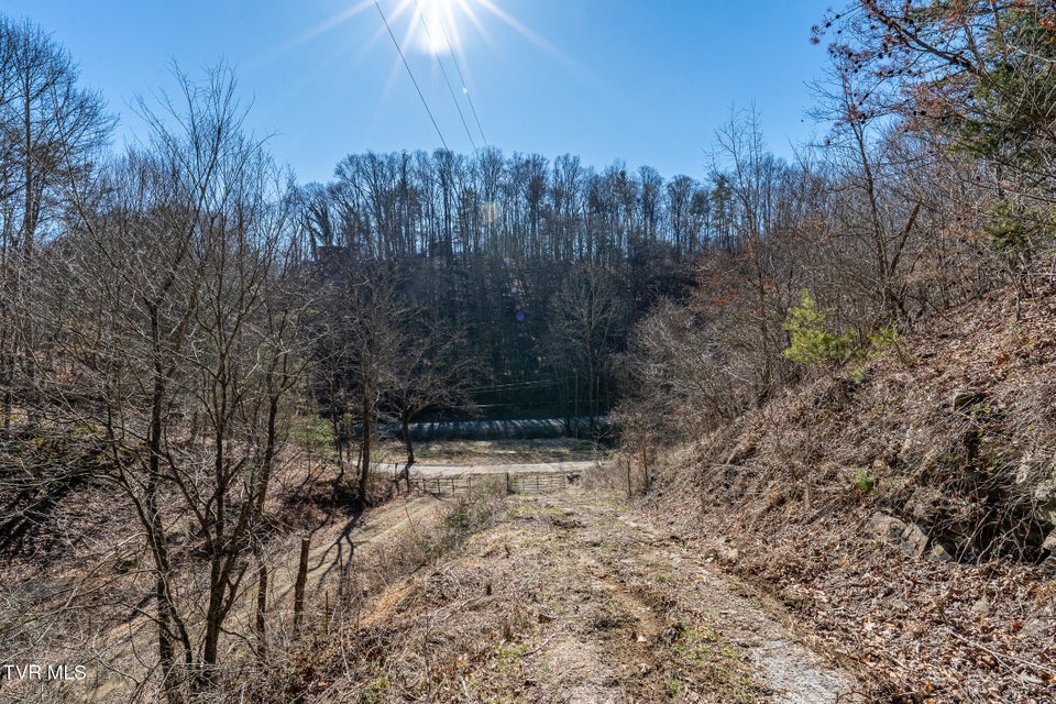 Photo #17: Tbd Old Carden Hollow Road