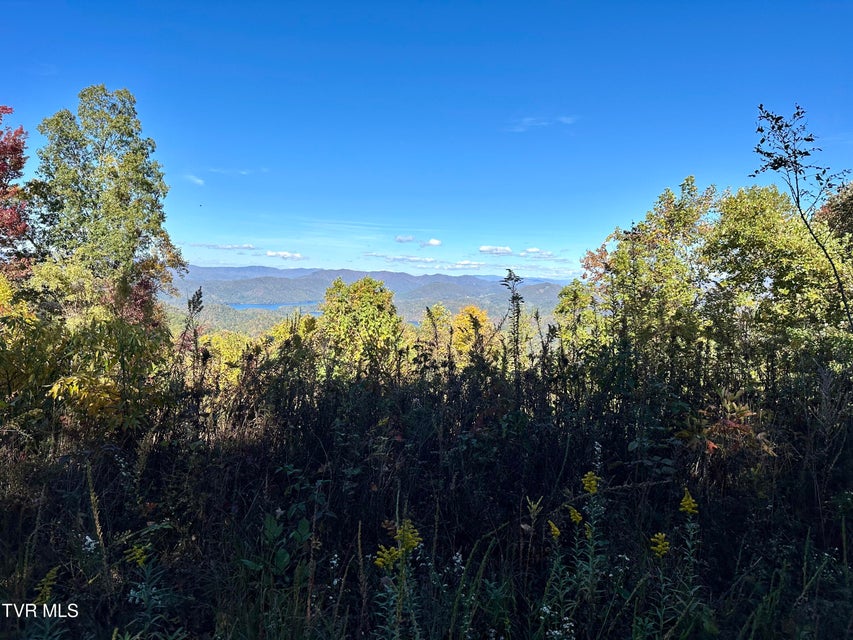 Photo #4: Lot 32 Vista Road