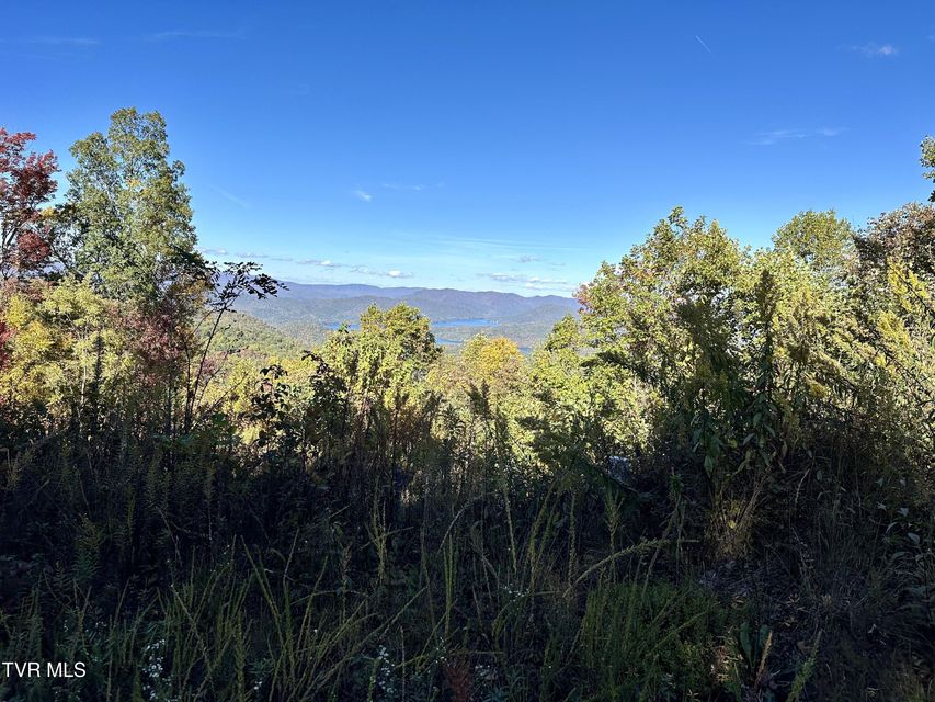 Photo #8: Lot 32 Vista Road