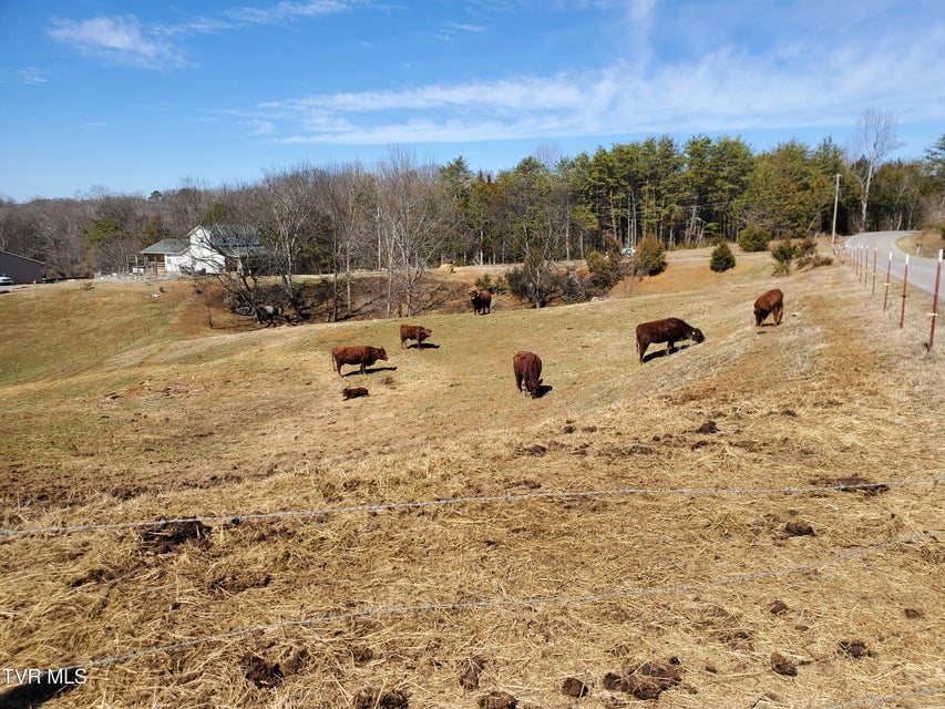 Photo #48: 1369 Bright Hope Rd Road
