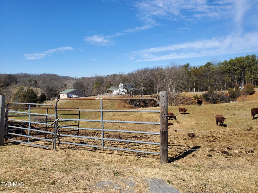 Photo #49: 1369 Bright Hope Rd Road