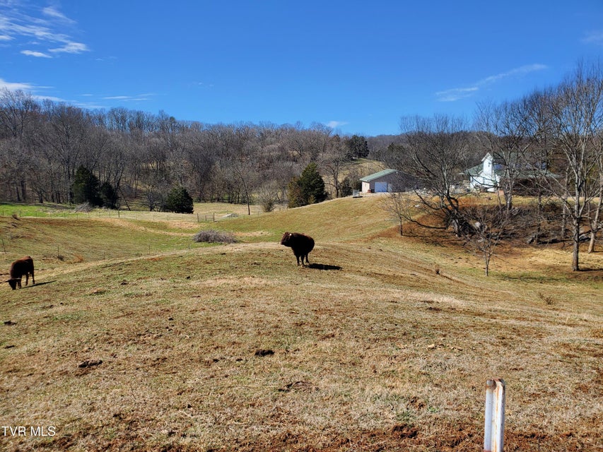 Photo #50: 1369 Bright Hope Rd Road