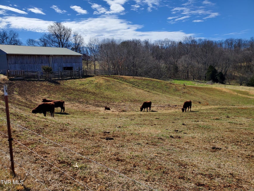 Photo #51: 1369 Bright Hope Rd Road