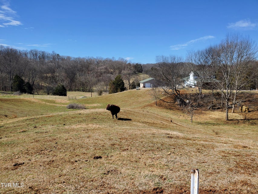 Photo #52: 1369 Bright Hope Rd Road