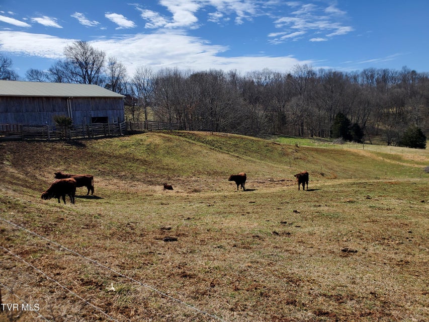 Photo #53: 1369 Bright Hope Rd Road