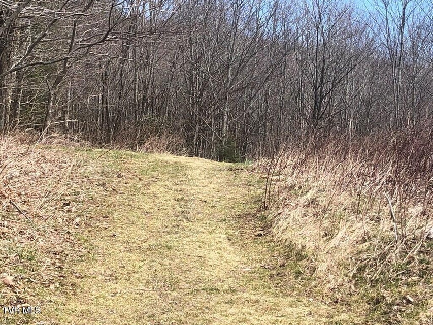 Photo #3: 00 Helton Creek Lane