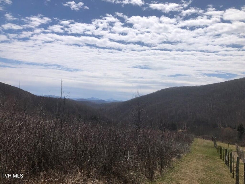 Photo #4: 00 Helton Creek Lane