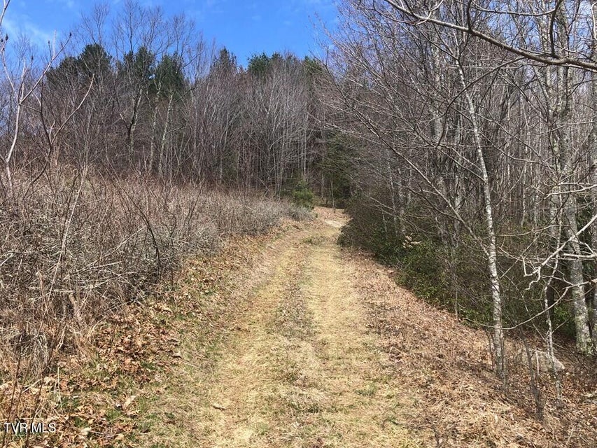 Photo #5: 00 Helton Creek Lane