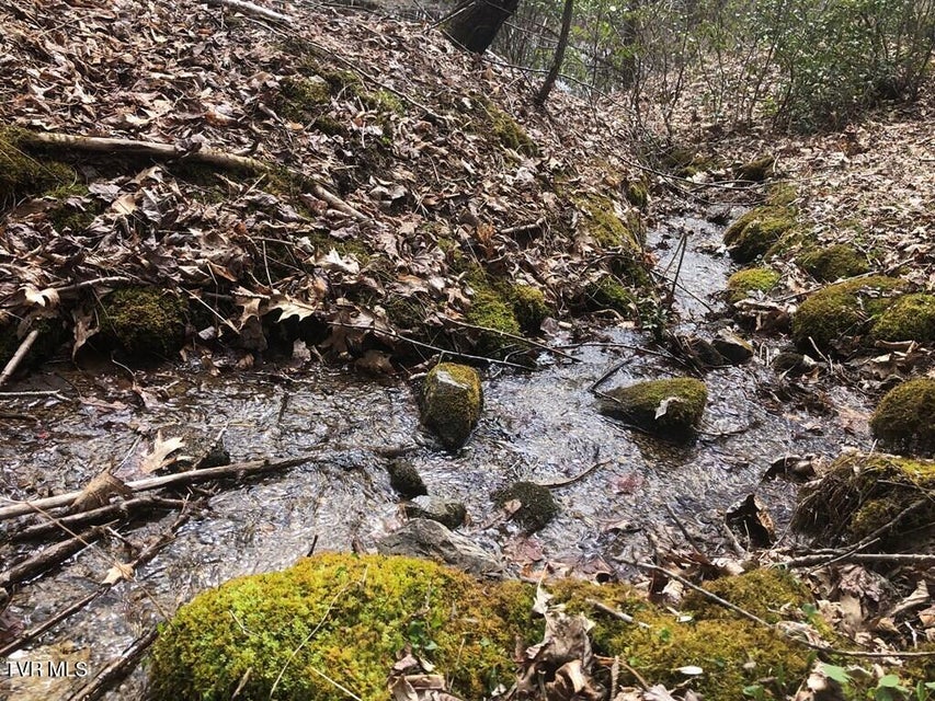 Photo #2: 00 Helton Creek Lane