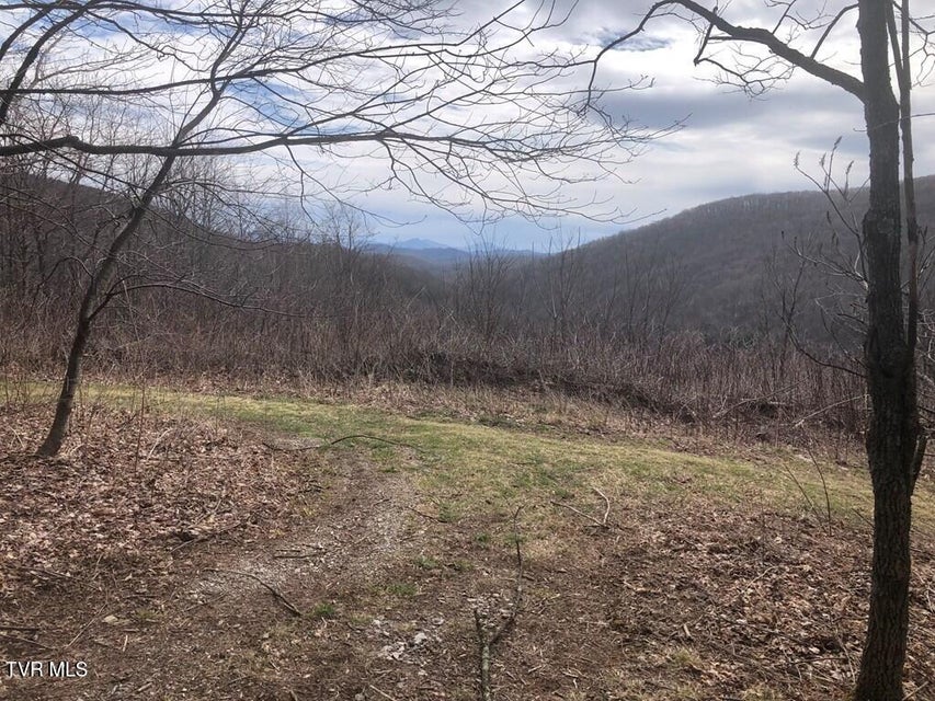 Photo #9: 00 Helton Creek Lane