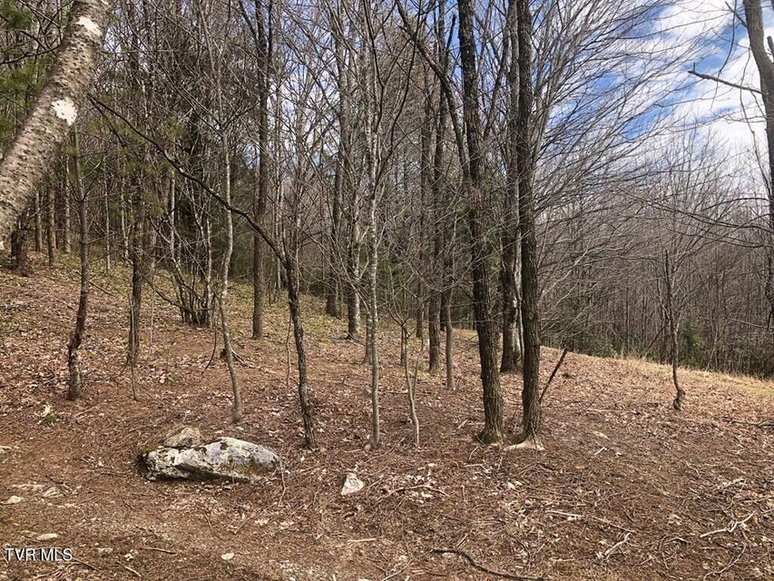 Photo #10: 00 Helton Creek Lane