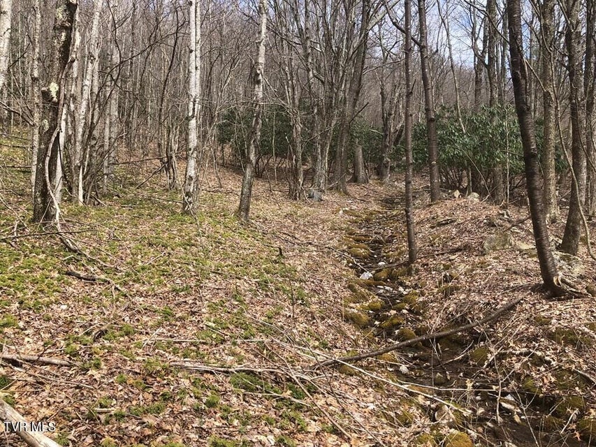 Photo #11: 00 Helton Creek Lane