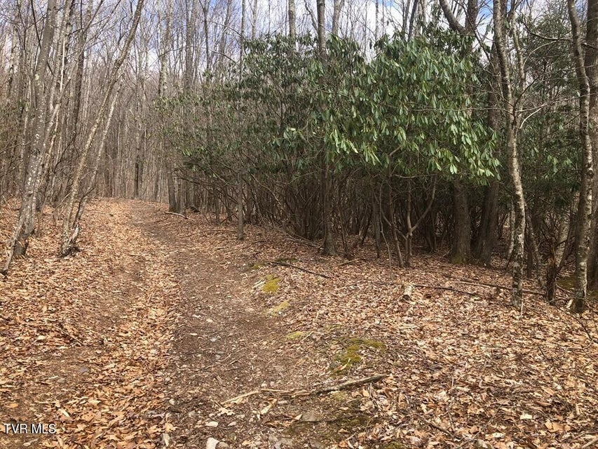 Photo #12: 00 Helton Creek Lane