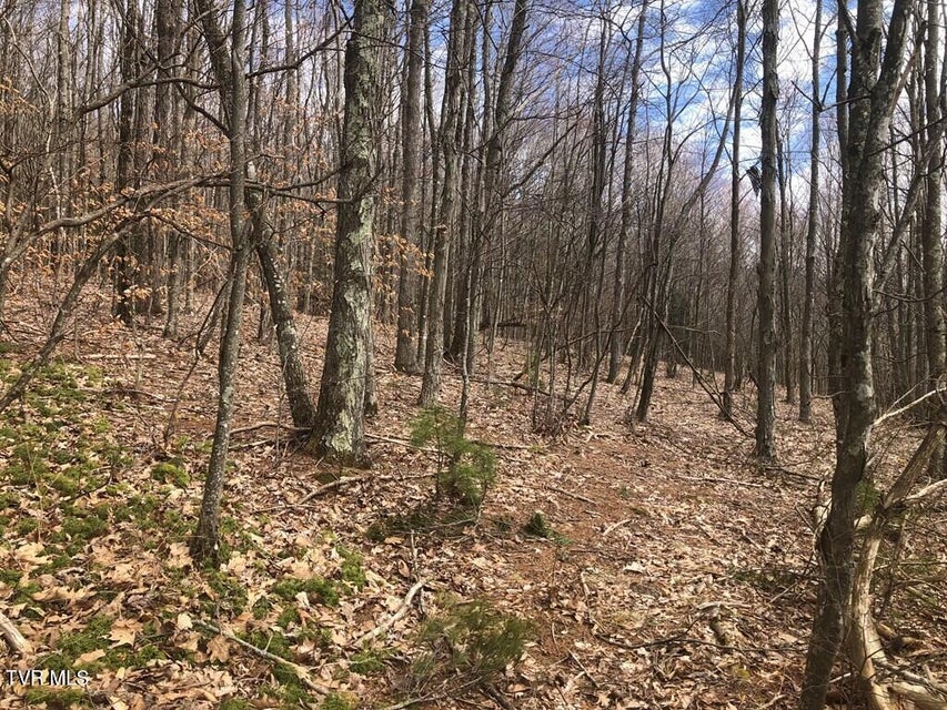 Photo #14: 00 Helton Creek Lane