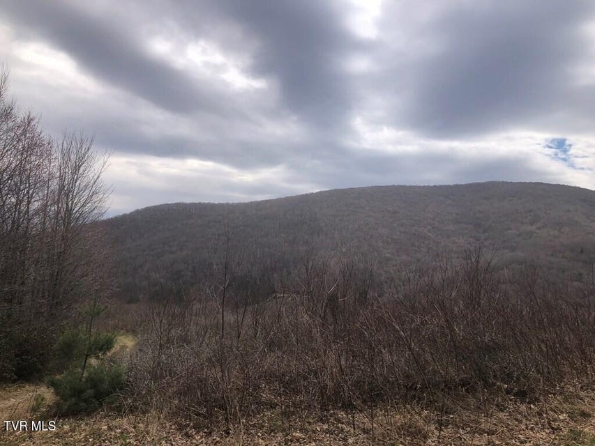 Photo #15: 00 Helton Creek Lane